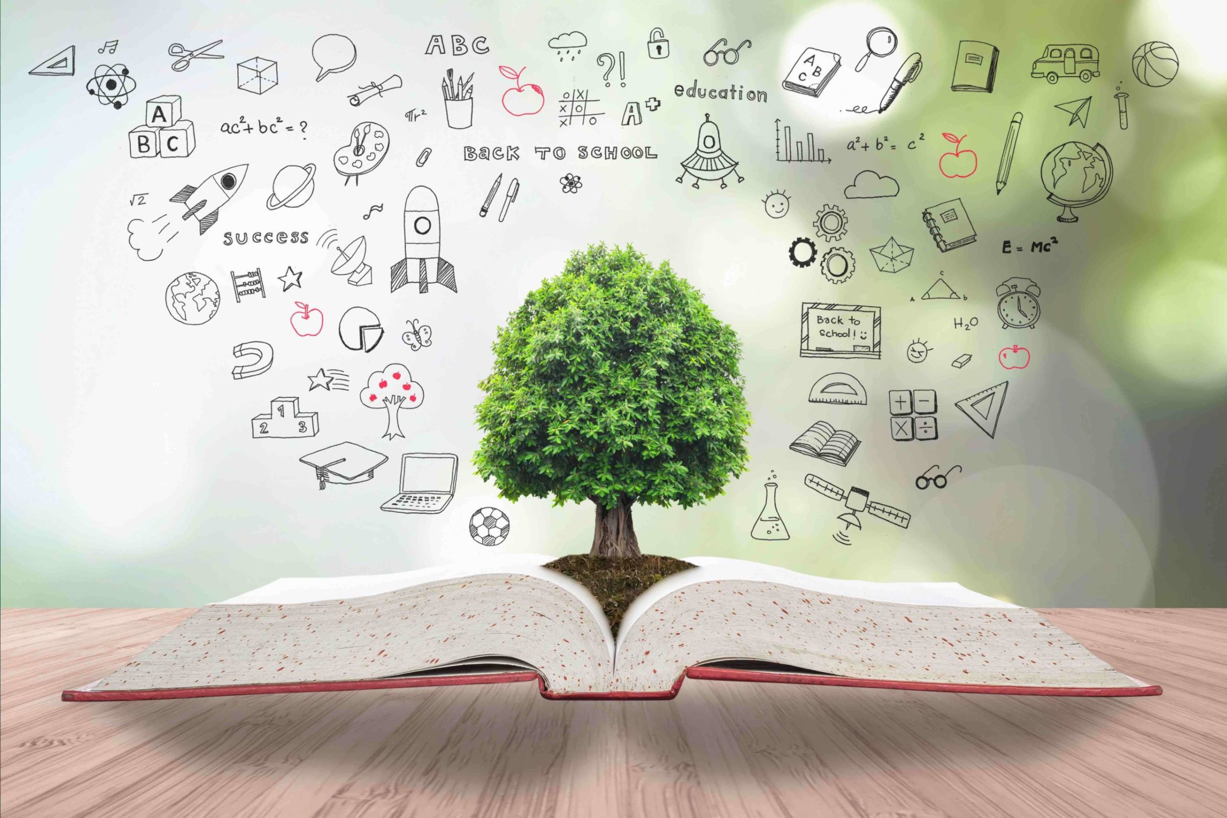 education